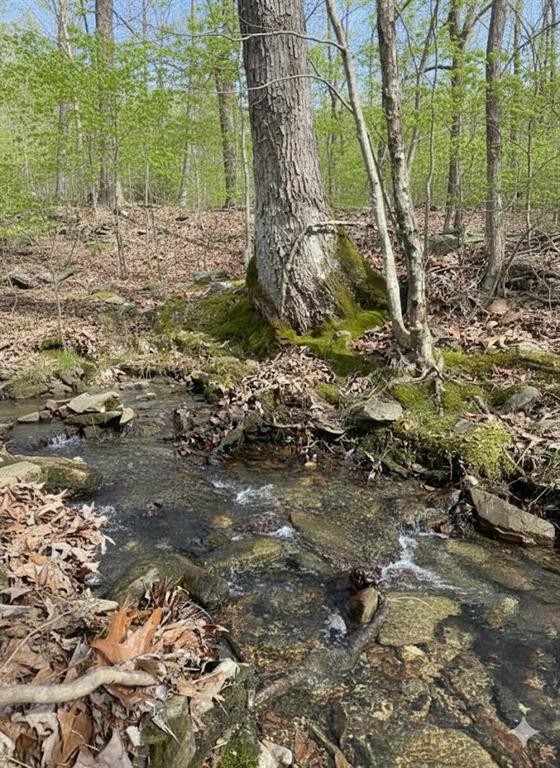 772 Timber Creek Trails South XI