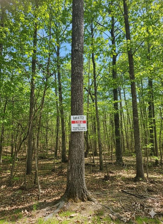 772 Timber Creek Trails South XI