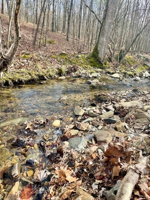 772 Timber Creek Trails South XI