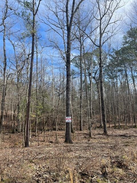 772 Timber Creek Trails South XI