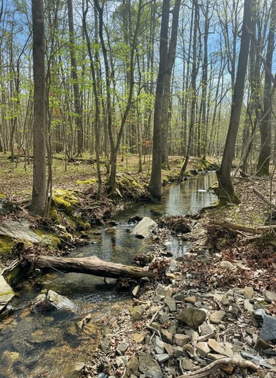 772 Timber Creek Trails South XI