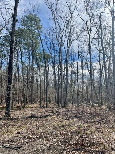 772 Timber Creek Trails South XI