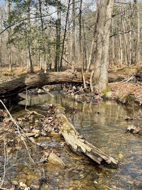 772 Timber Creek Trails South XI