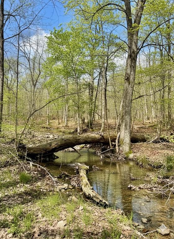 772 Timber Creek Trails South XI