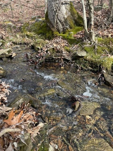 772 Timber Creek Trails South XI