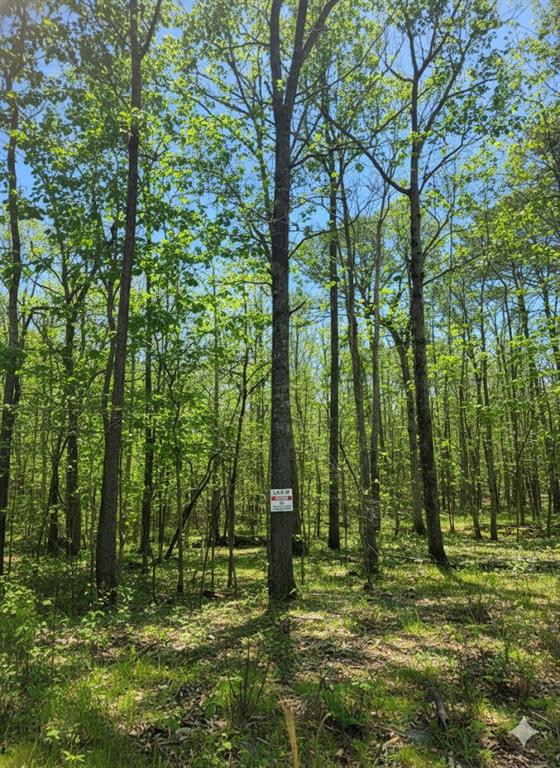 772 Timber Creek Trails South XI