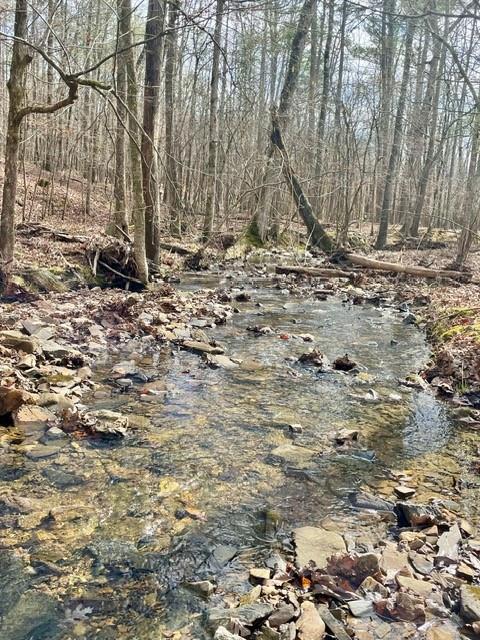 772 Timber Creek Trails South XI