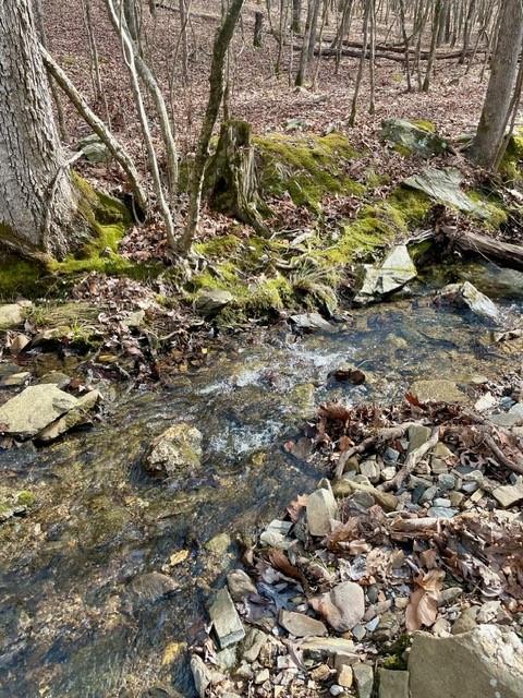 772 Timber Creek Trails South XI