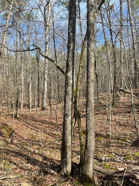 772 Timber Creek Trails South XI