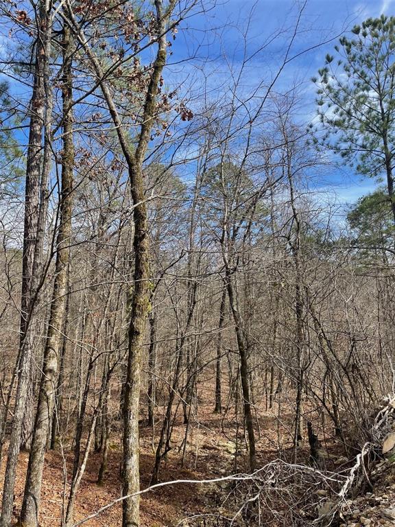 773 Timber Creek Trails South XI