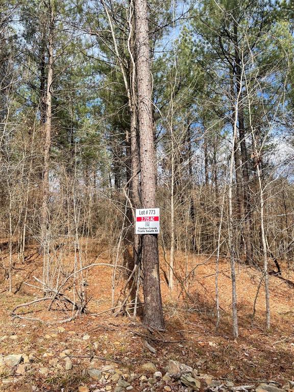 773 Timber Creek Trails South XI