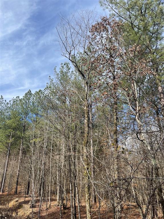 773 Timber Creek Trails South XI
