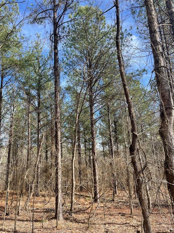 774 Timber Creek Trails South XI