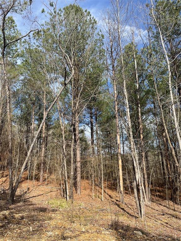 774 Timber Creek Trails South XI
