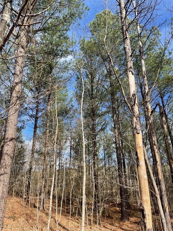 774 Timber Creek Trails South XI