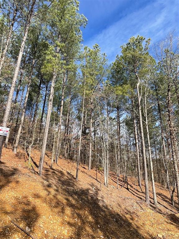 775 Timber Creek Trails South XI