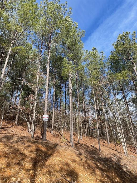 775 Timber Creek Trails South XI