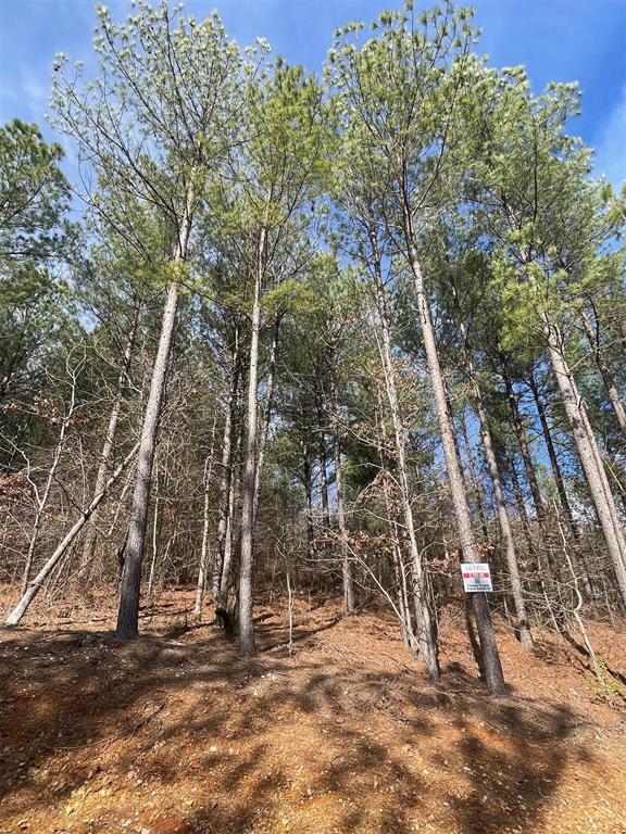 775 Timber Creek Trails South XI