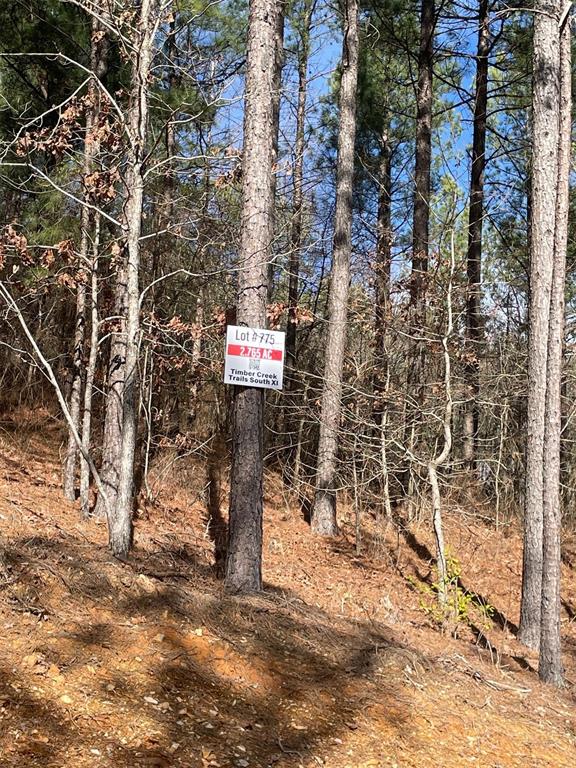 775 Timber Creek Trails South XI