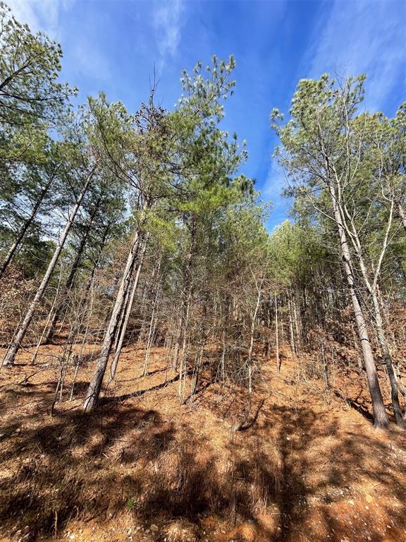 776 Timber Creek Trails South XI