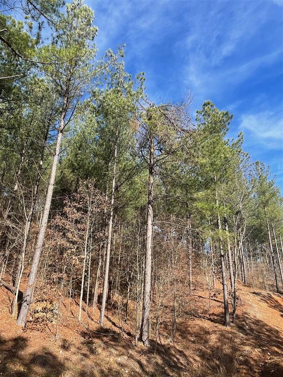 776 Timber Creek Trails South XI