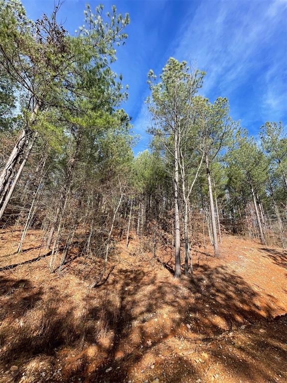 776 Timber Creek Trails South XI
