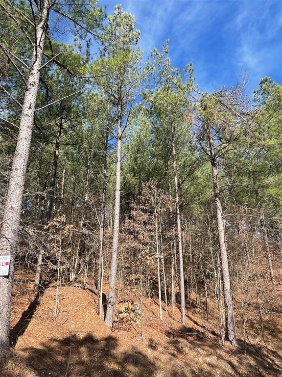 776 Timber Creek Trails South XI