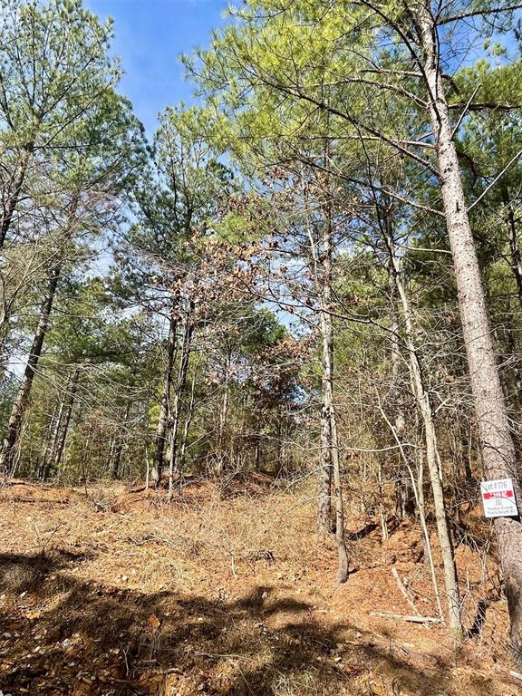 776 Timber Creek Trails South XI