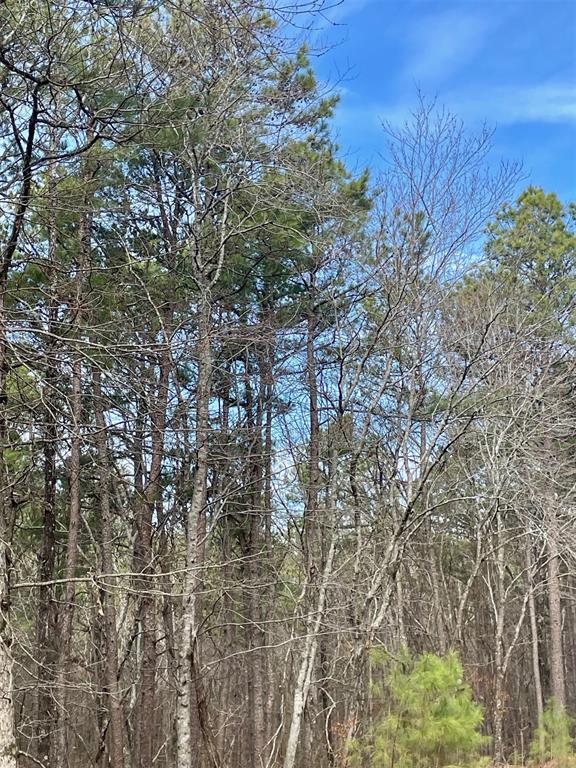 777 Timber Creek Trails South XI