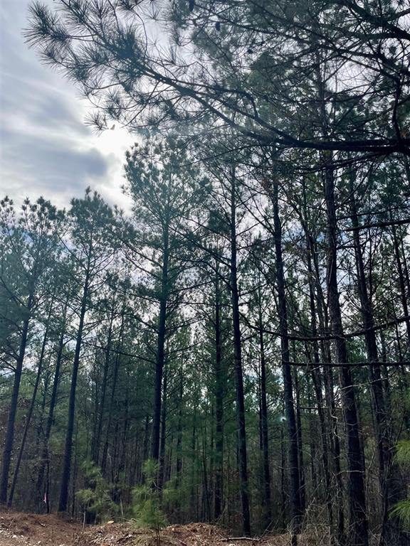 777 Timber Creek Trails South XI