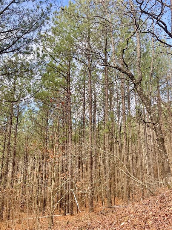 777 Timber Creek Trails South XI