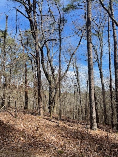 778 Timber Creek Trails South XI