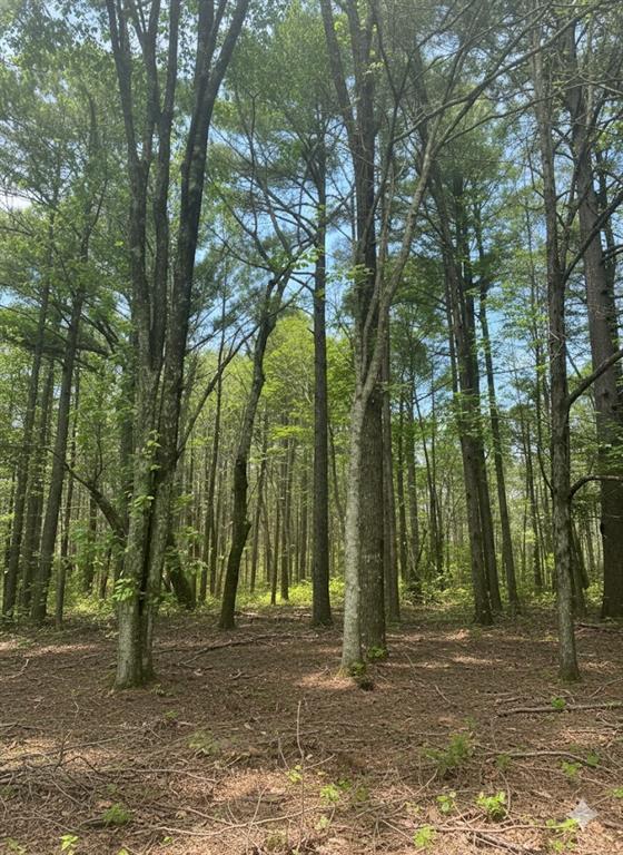 778 Timber Creek Trails South XI