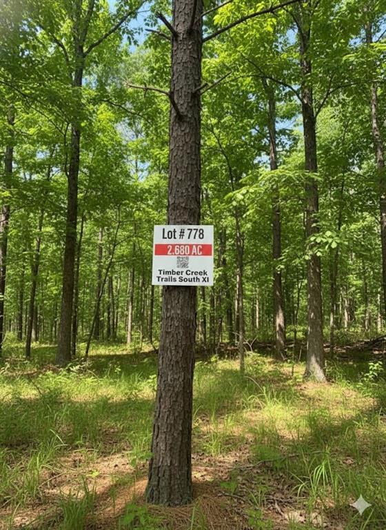 778 Timber Creek Trails South XI