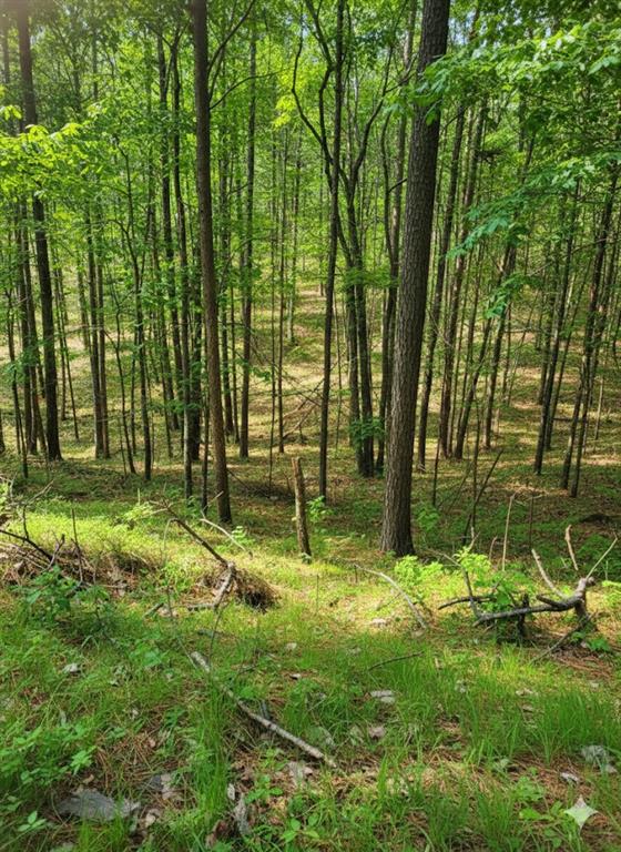 778 Timber Creek Trails South XI