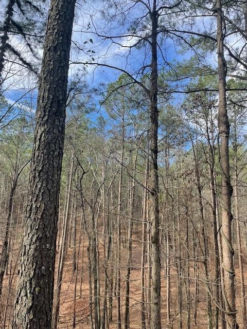 778 Timber Creek Trails South XI