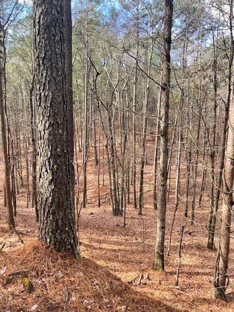 778 Timber Creek Trails South XI