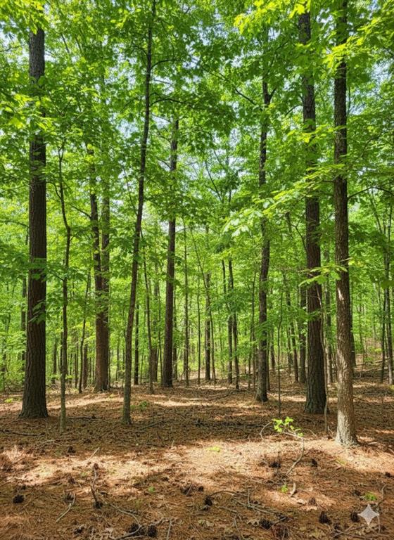 778 Timber Creek Trails South XI