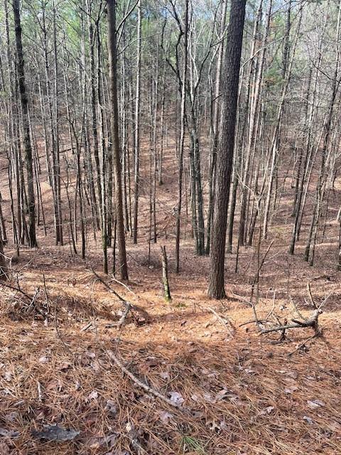 778 Timber Creek Trails South XI