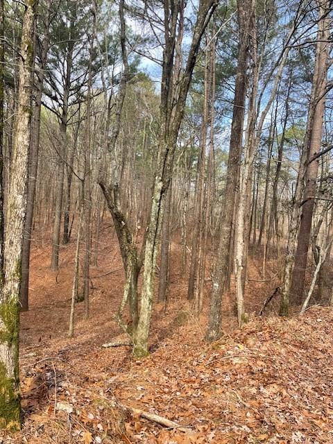 778 Timber Creek Trails South XI