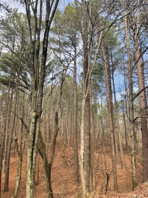 778 Timber Creek Trails South XI