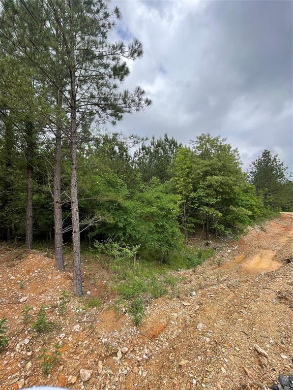 668 Timber Creek Trails South XI