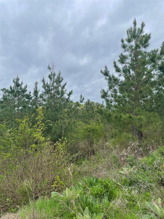 192 Sliding Hill Trail