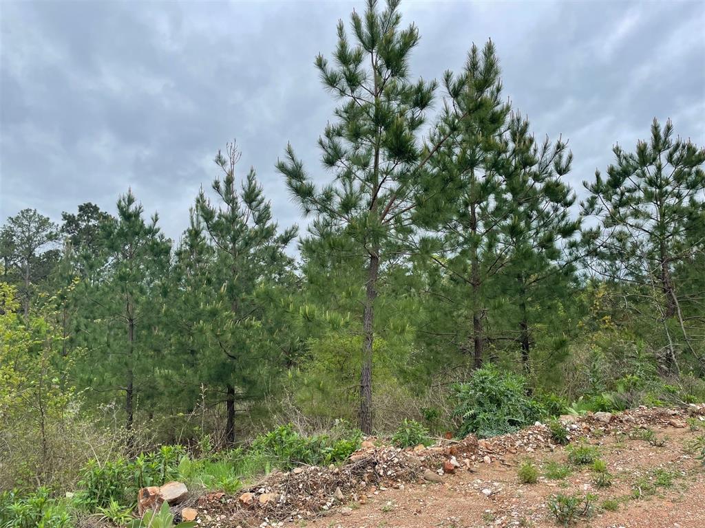 192 Sliding Hill Trail
