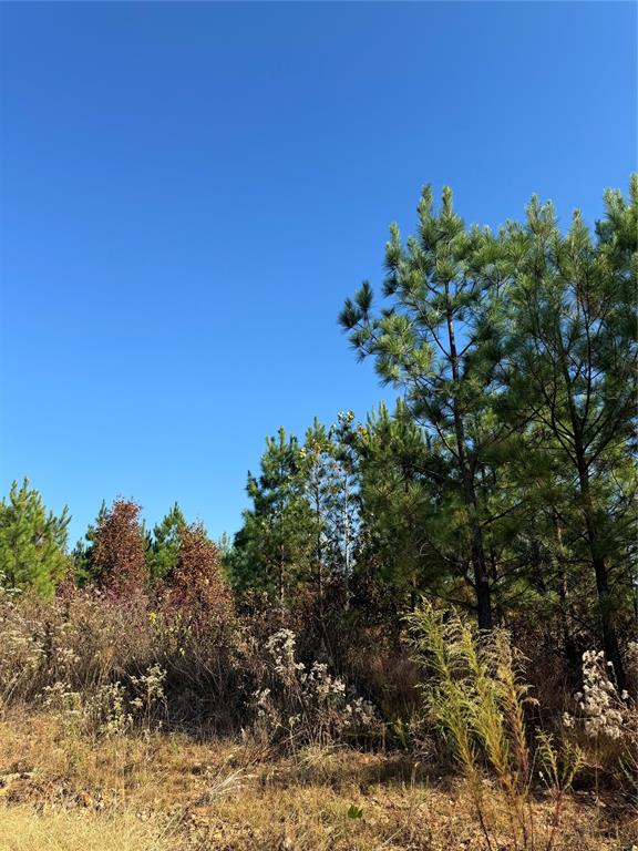 192 Sliding Hill Trail