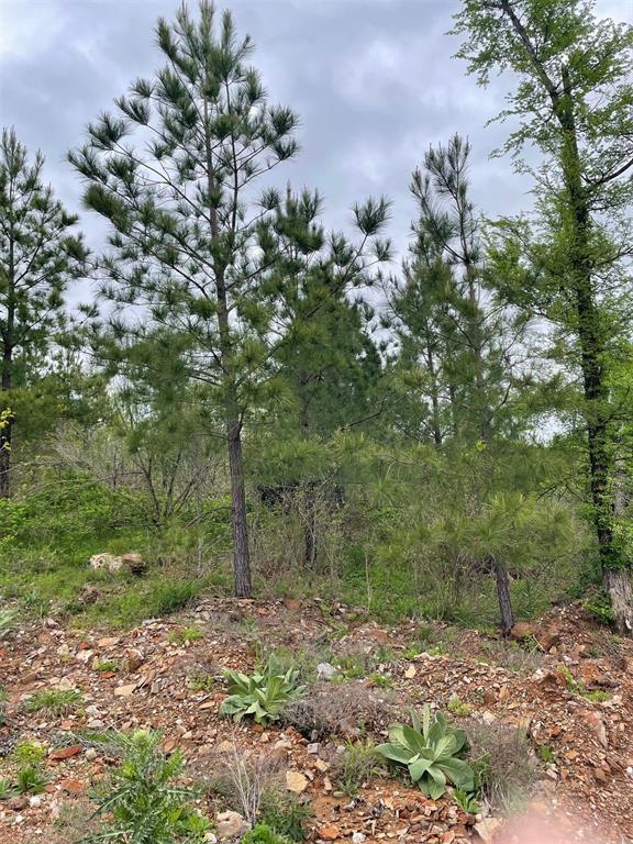 192 Sliding Hill Trail