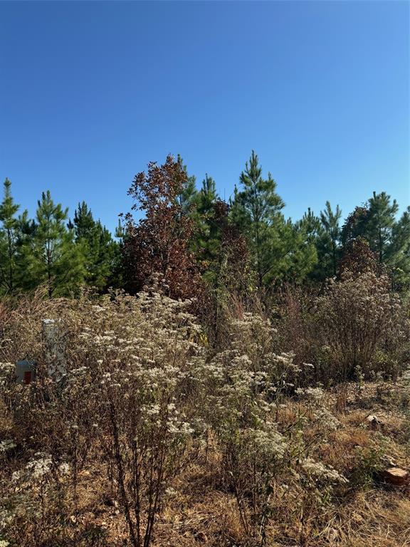 192 Sliding Hill Trail