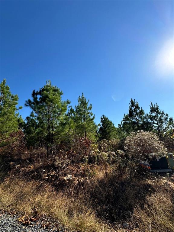 136 Charmed Ridge Lane