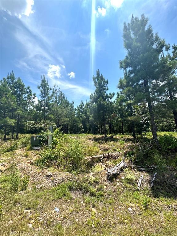 136 Charmed Ridge Lane