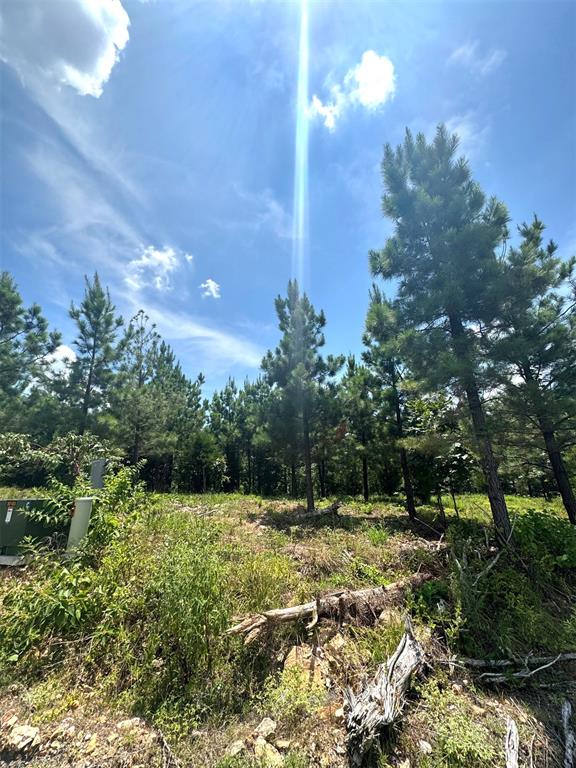 136 Charmed Ridge Lane